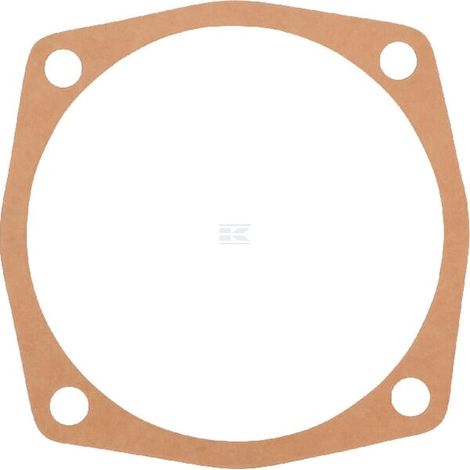 Guarnizione 0,5 mm Maschio MASCHIO M24100125R