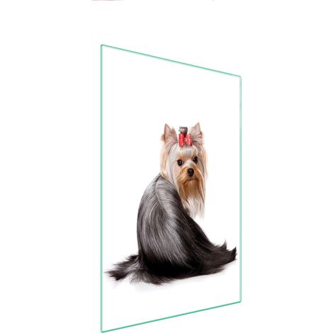 Glasschneidebrett 35x52 Hund (1/5)