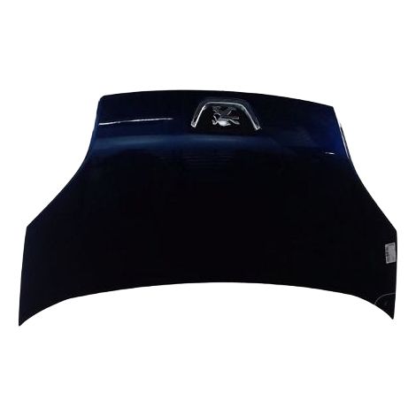 Capot PEUGEOT Bipper [PRODUIT D'OCCASION]♻️7901q0