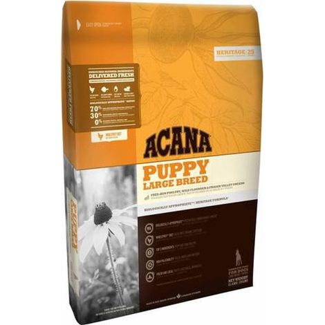 ACANA PUPPY RAZA GRANDE - 11,4 Kilos