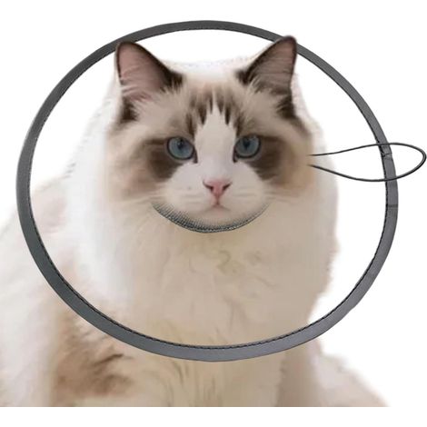 Collier Animalier Protège-Cou Confortable Et Respirant Collier conique pour chat Pour Les Chiots Et Les Chatons, Pour La Maison, Intérieur Et Extérieur, Récupération Des Plaies (1/5)
