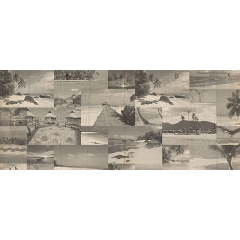 Papier peint panoramique noir & blanc paysage | Tapisserie panoramique île tropicale pour salon | Papiers peints panoramiques modernes - 250 x 600 cm (6 pièces) (1/2)