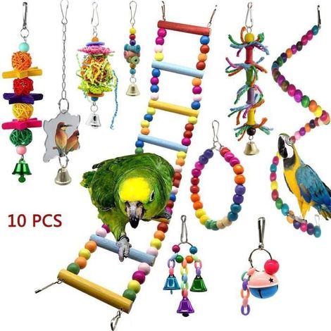 Jouet oiseau petit perroquet 10pcs (1/4)