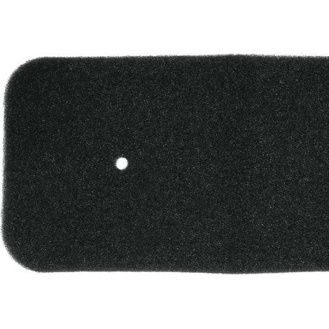 Filtre Éponge - Pour Sèche-Linge - Dimensions 270 x 122 x 10 mm - Compatible Modèles Hoover Fagor Zerowatt Iberna Otsein Vestel - Lot de 1 (1/5)