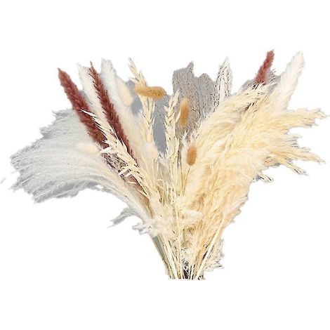 30pcs De Roseau Séché Petites Fleurs De Pampa Banquet Artificiel Décoration De Vraies Plantes Décoration Intérieure (1/5)