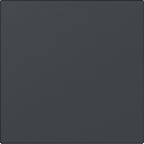 Gira Wippe System 55, Anthrazit, 349628