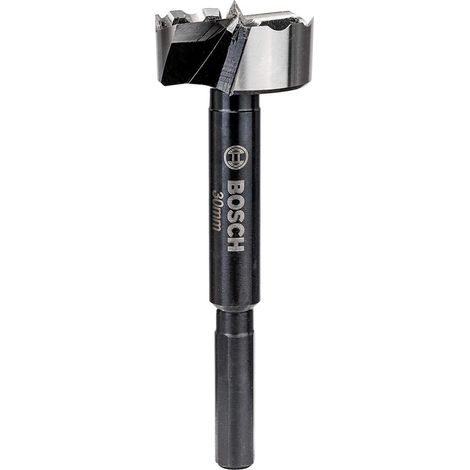 Bosch Professional Forstner Mèche de 30mm de diamètre DIN 7483G (260925C143) (1/5)