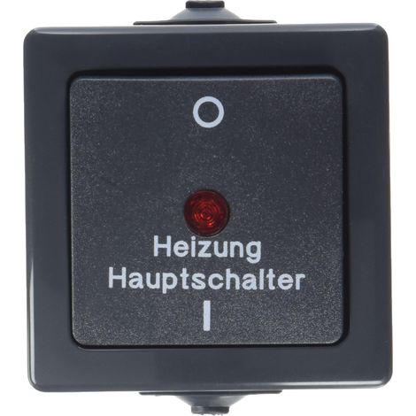 Interrupteur de Chauffage éclairé en saillie, Noir, 565315003 (1/4)