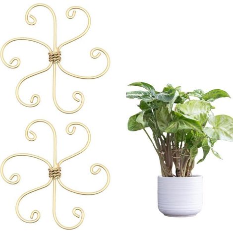 Lot de 2 supports de tronc de plantes en fer durable pour monstera et plantes grimpantes - Kit de pinces en bambou pour stabiliser et soutenir les feuilles (1/4)