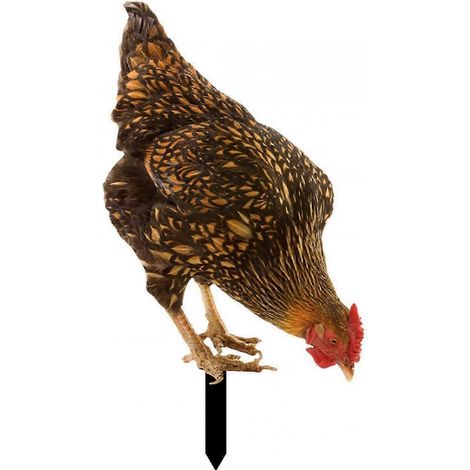 Décoration de jardin réaliste en acrylique représentant une poule, idéale pour une ferme.-Style A
