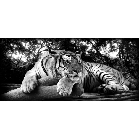 Tableau sur verre synthétique tigre à l'affût 65x145 cm - Impression sur Verre synthétique - Image HD imprimée sur Verre synthétique - Tableau mural décoratif - Fabriqué en France (1/4)