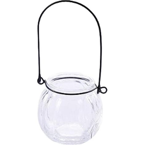 Vase En Verre De Citrouille Suspendu, Pot Hydroponique Pour Plantes, Récipient De Terrarium (1/5)