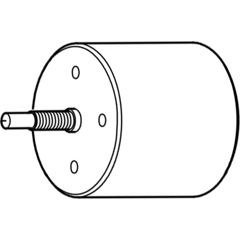 Motore per abbacchiatore Lisam Swing originale
