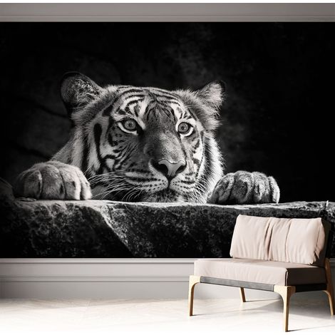 Selbstklebend Tapete modern - Wanddeko für Küche - Klebefolie Wand - luxus Look Raubtierhafter Blick 312x219 cm (1/5)