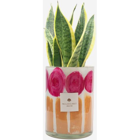 Sansevieria in vaso di vetro decorato a mano Le Rose H 15 - Arancione