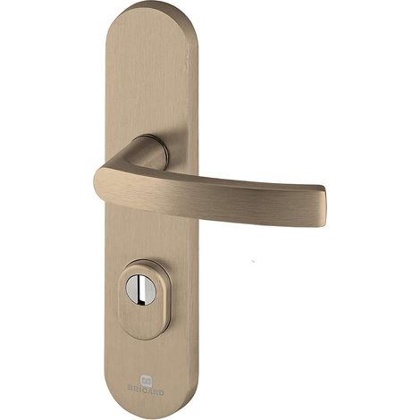 Bricard 9900191 Ensemble de Poignees Blindees sur Plaque Essential Bequille + Bequille pour Porte d'entree (pour Cylindre Europeen), coloris Ambre (1/2)