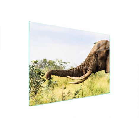 PLAQUE DE PROTECTION EN VERRE POUR POÊLE 70x52 ÉLÉPHANT (1/5)