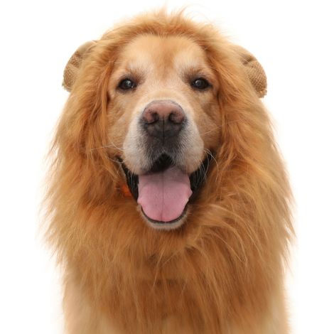 Déguisement lion pour animaux marron L x 3 modèle 3