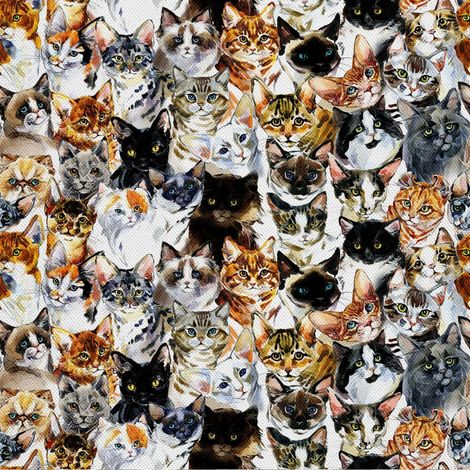 Tissu d'ameublement extérieur Oxford - motif chats peints I DX045 (1/5)