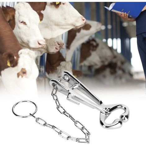 Laisse nasale pour vaches avec chaîne en acier pour outils de vaccination et de marquage auriculaire du bétail (1/5)