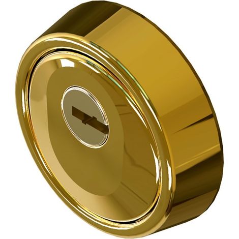 ESCUDO ALTA SEG. ACERO ORO (1/3)