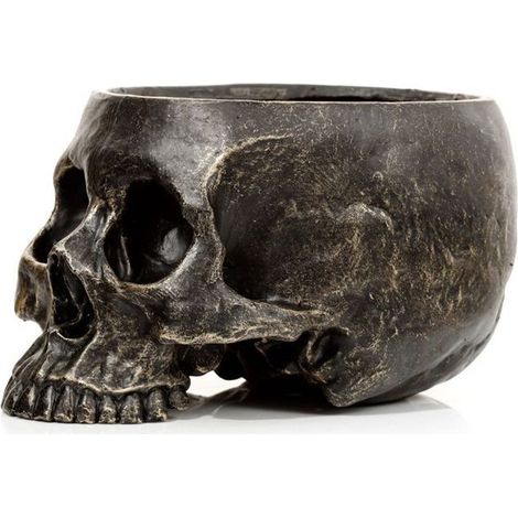 Jardinière - PUCKATOR - Crâne - Résine - Noir - Asymétrique (1/5)
