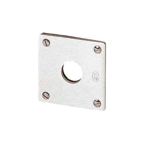 EATON Panel de montaje, 2 posiciones de montaje, IP65, RAL 7035, 216543