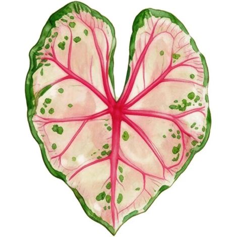 Lot de 2 sous-verres en acrylique en forme de feuille tropicale – résistants à la chaleur, faciles à nettoyer, très absorbants, légers, motif de feuille réaliste (1/5)