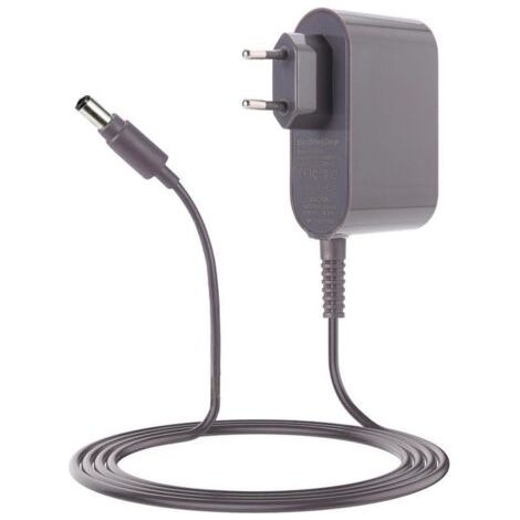 Dyson Chargeur Compatible avec DC30 DC31 DC34 DC35 DC44 DC45 DC56 DC57 - 16.75V/24.35V Batterie d'aspirateur-aspirateur dyson
