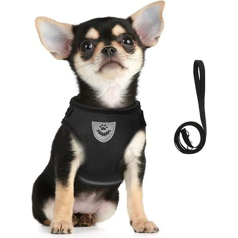 Harnais et laisse rembourrés en maille respirante et réglable pour chiens et chats avec intérieur réfléchissant (1/5)