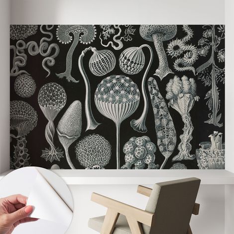 Papier peint autocollant Mural avec colle pour salon et chambre Décoration murale rapide Plantes magiques 104x70 cm (1/5)