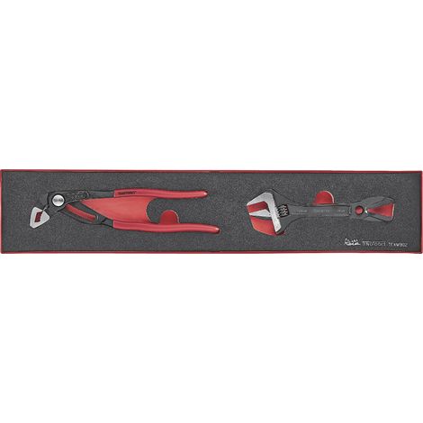 Set de Pince crocodille et clé à molette Foamx4tray 2 pièces Teng Tools TEXMB02 (1/2)