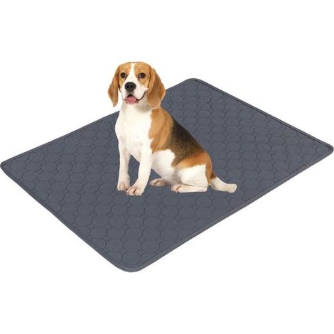 Tapis d'entraînement ultra-absorbant en 2 pièces pour chiens, protège-matelas réutilisable pour chiens et chiots, convient également aux chiens, chats et cochons d'Inde. (1/5)