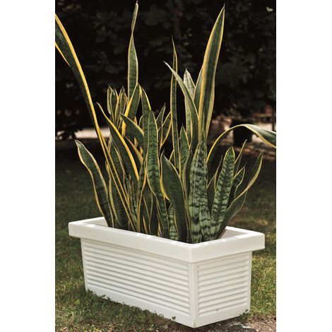 Cassetta Millerighe Classica in resina cm. 60 Bianco