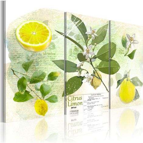Tableau Imprimé "Fruit : Lemon" 80 x 120 cm (1/2)