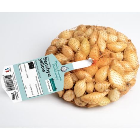 Shakespeare bulbes Oignons a repiquer 500 gr
