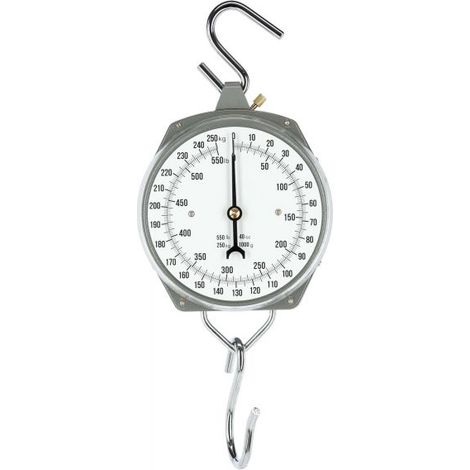 Zeigerschnellwaagen bis 250 kg, Strichunterteilung 1 kg, 1 S-Haken