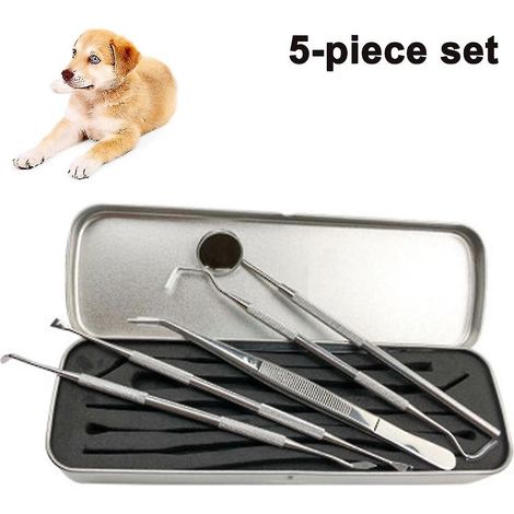 Outils dentaires professionnels, détartreur dentaire pour chiens (1/5)
