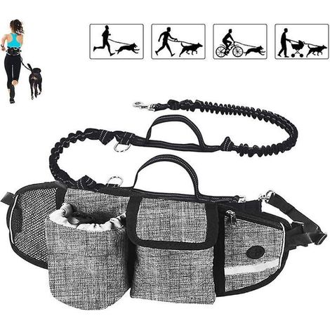 Laisse mains libres pour chien avec système d'absorption des chocs pour chiens jusqu'à 110 kg - Confortable, coutures réfléchissantes, idéale pour la course, le jogging et la marche (1/3)