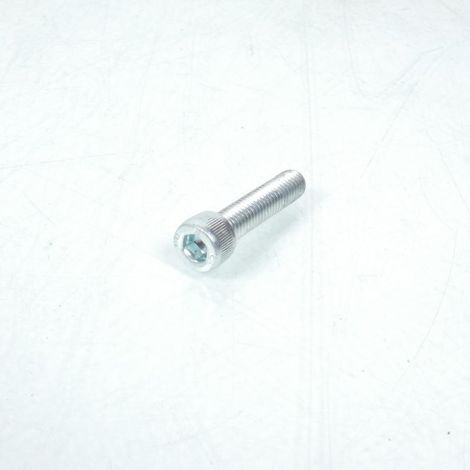 Vis M8 1,25 L35mm Original für Motorrad Beta 50 31.64000.000 Neu (1/4)