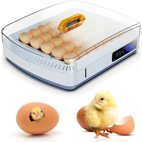 Incubateur 35 œufs avec retournement automatique à 360° et affichage de la température et de l'humidité. Idéal pour les œufs de poule, de canard, d'oie et de caille. Convient également pour les poulai (1/5)