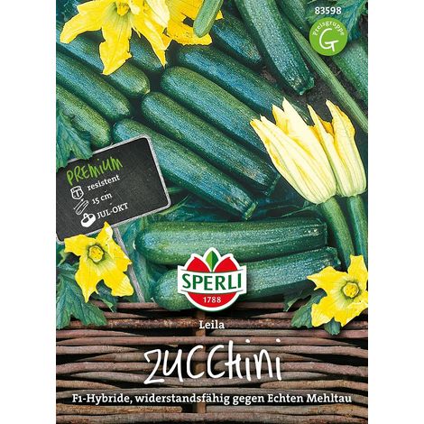 Sperli Zucchini Leila F1 - Hybride - Gemüsesamen (1/2)