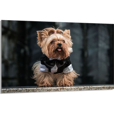 Glasschutzplatte für den Herd 80x52 Hund (1/5)
