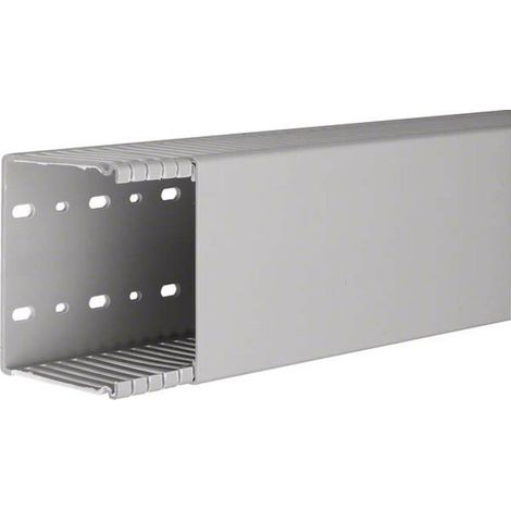 Tehalit Verdrahtungskanal BA6 80100B gr 2 Stk
