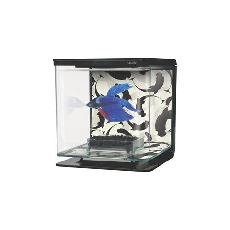 Marina Betta Kit - Ying Yang