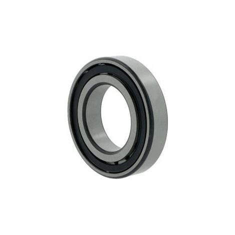 Tonnenlager 20305 -TVP ID 25mm AD 62mm Breite17mm FAG