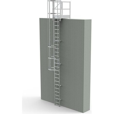 Scala gabbia acciaio zincato - Alt. raggiungibile 3,71 a 4,60m - CRINO-PF-AG-4