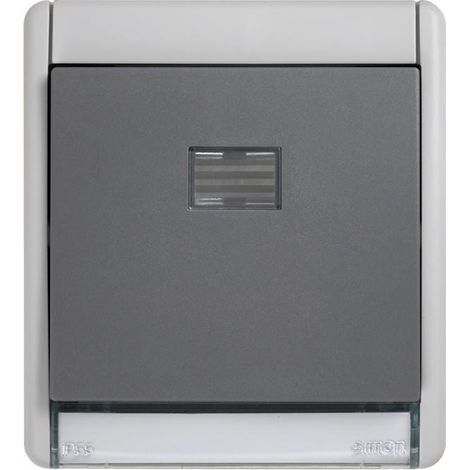 Conmutador Simon Aqua 10AX piloto IP55 gris (1/2)