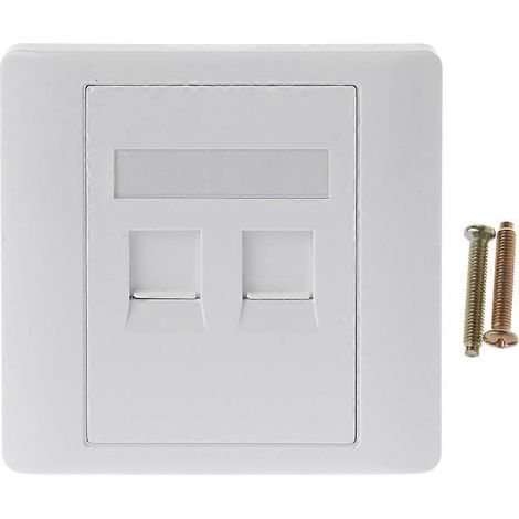 Panneau mural encastré avec connecteur Ethernet RJ45 à 2 ports et coupleur mural. (1/5)