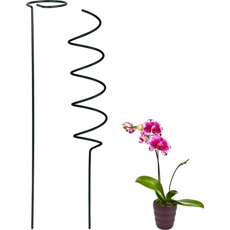 Tuteur Spirale pour Fleurs - Support en Fer Noir 40cm avec Anneau - Pack de 2 Supports Robustes pour Plantes à Tige Unique (1/5)